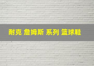 耐克 詹姆斯 系列 篮球鞋